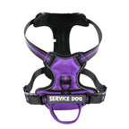 FreeMotion Personalised Y-Shape Dog Harness