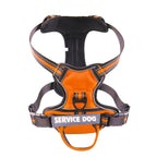 FreeMotion Personalised Y-Shape Dog Harness