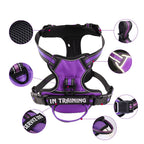 FreeMotion Personalised Y-Shape Dog Harness