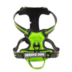 FreeMotion Personalised Y-Shape Dog Harness
