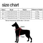 FreeMotion Personalised Y-Shape Dog Harness