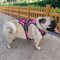 FreeMotion Personalised Y-Shape Dog Harness