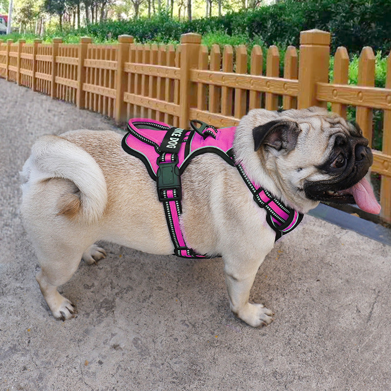 FreeMotion Personalised Y-Shape Dog Harness