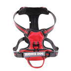 FreeMotion Personalised Y-Shape Dog Harness