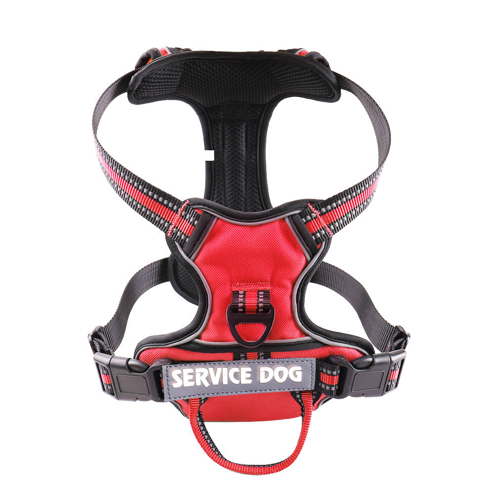 FreeMotion Personalised Y-Shape Dog Harness