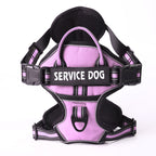 FreeMotion Personalised Y-Shape Dog Harness