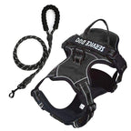 FreeMotion Personalised Y-Shape Dog Harness