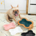 Elevated Ceramic Dog Bowl with Wooden Stand - Paws & Feast