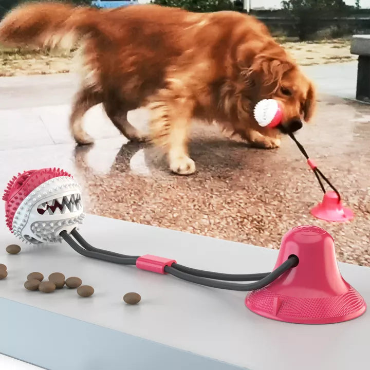 Durable Tug Toy for Dogs - PowerPaw