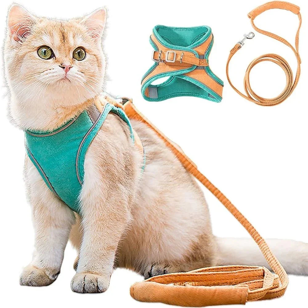 Cat Harness Safe and Comfortable