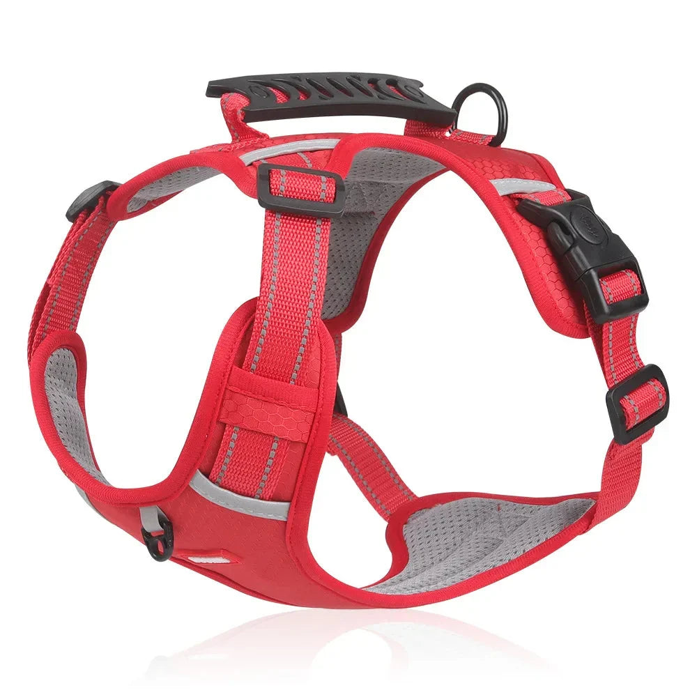 NoPull Dog Harness WalkEase