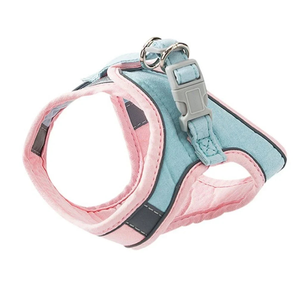 Cat Harness Safe and Comfortable