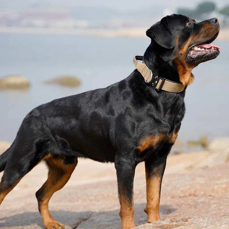 Tactical Dog Collar with Handle – GripMaster