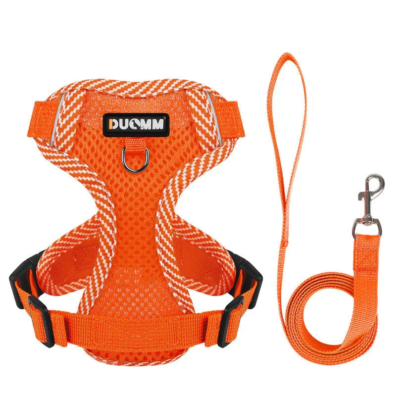 Reflective Dog Harness and Leash Set SafeStep