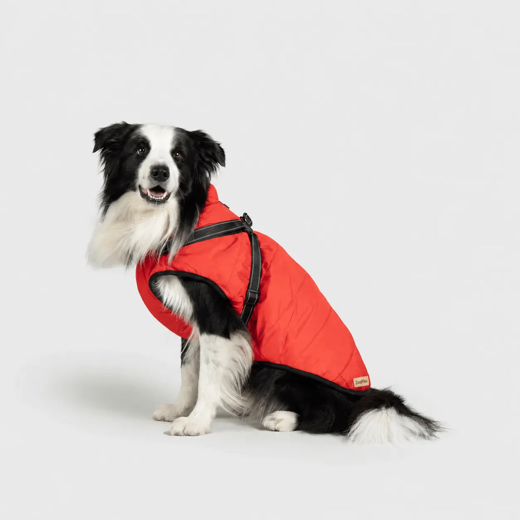 Zooflex -  3 in 1 Jacket