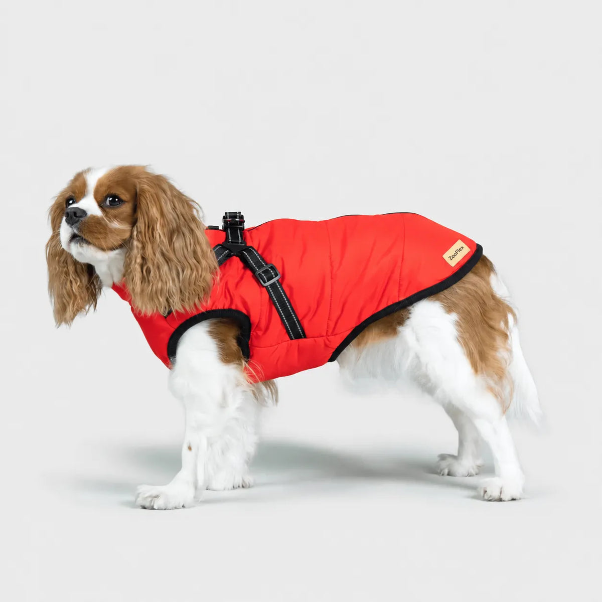 Zooflex -  3 in 1 Jacket