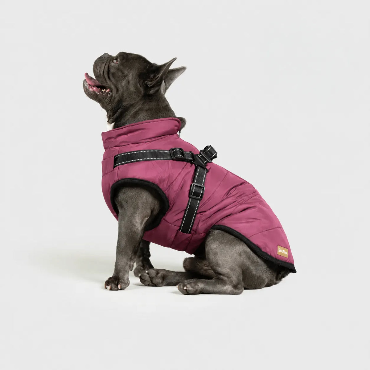 Zooflex -  3 in 1 Jacket