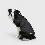 Zooflex -  3 in 1 Jacket