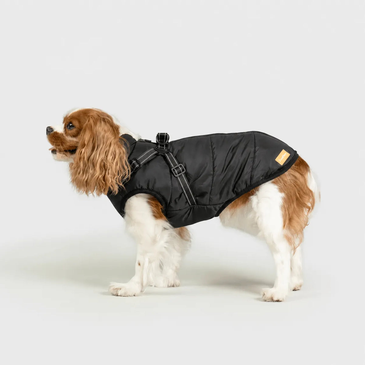 Zooflex -  3 in 1 Jacket