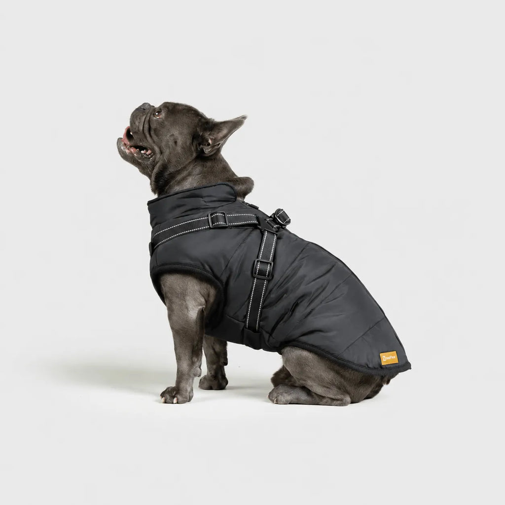 Zooflex -  3 in 1 Jacket