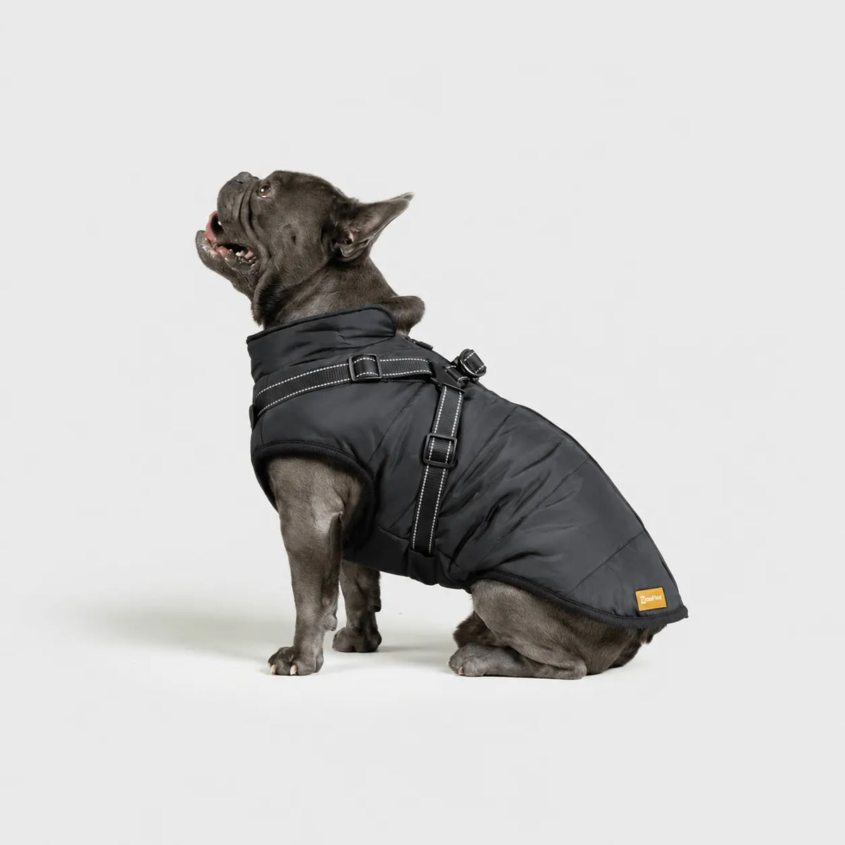 Zooflex -  3 in 1 Jacket