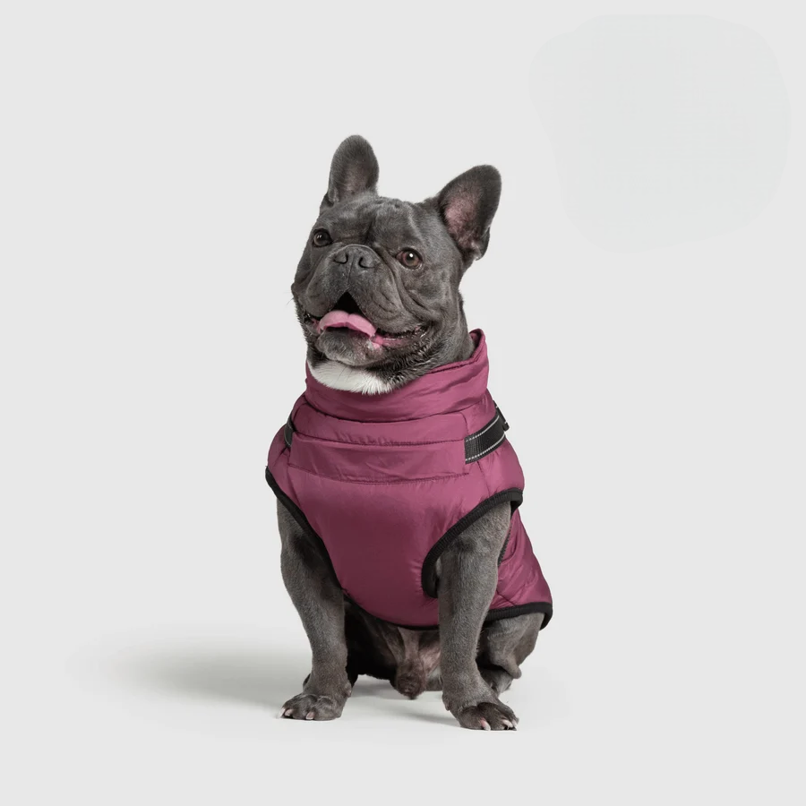 Zooflex -  3 in 1 Jacket