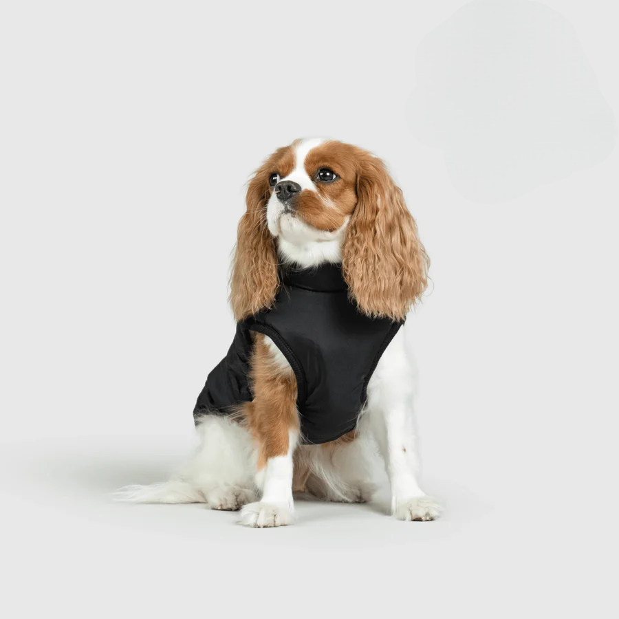 Zooflex -  3 in 1 Jacket