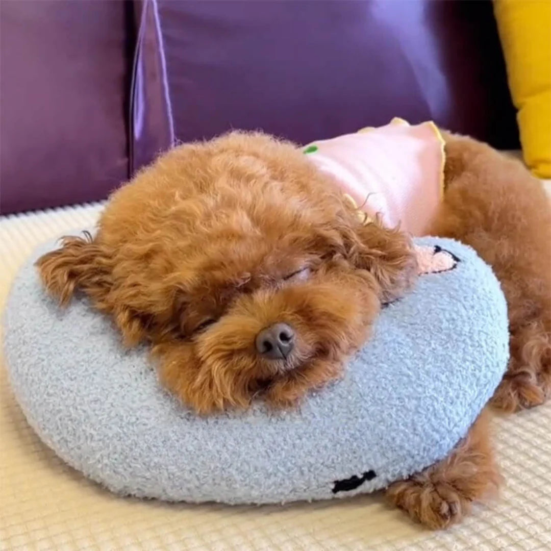 CozyPaws Cushion RelaxPad
