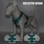 ZooFlex Cat Harness & Leash – Reflective Escape-Resistant Vest