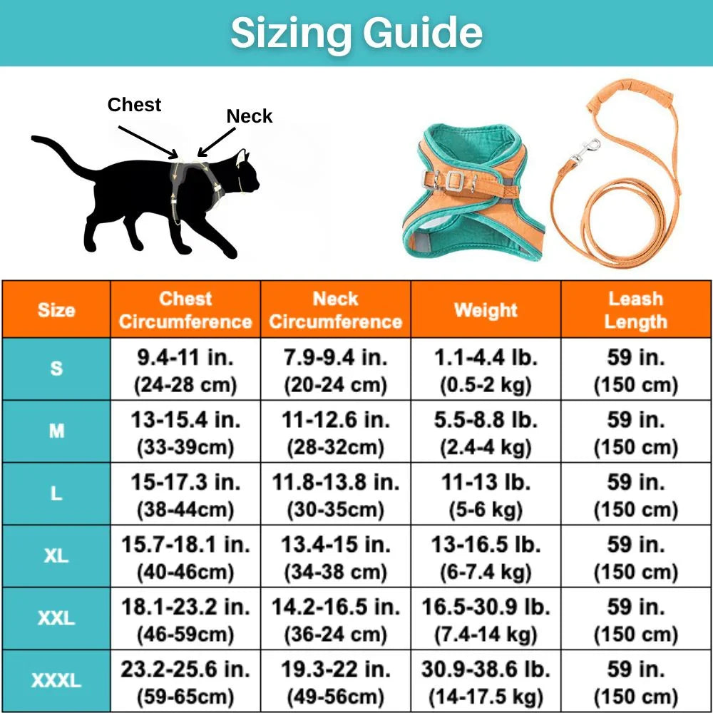 Cat Harness Safe and Comfortable