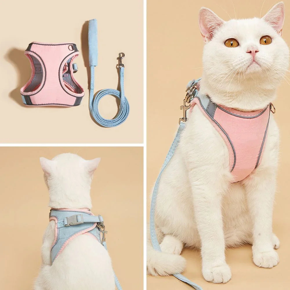 Cat Harness Safe and Comfortable