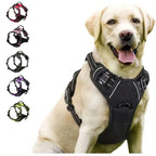 ZooFlex Adjustable Dog Harness & Leash Set for Small & Medium Dogs