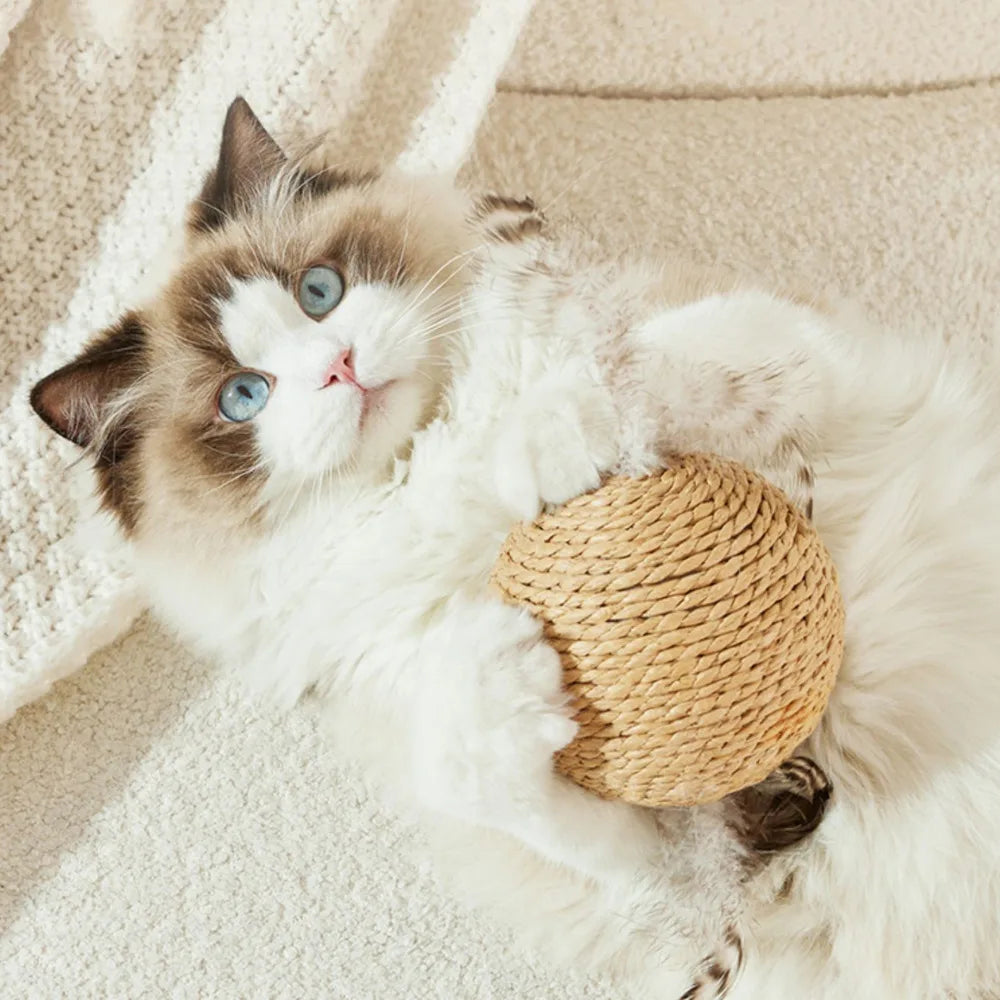 ZooFlex 10cm Sisal Cat Scratching Ball – Interactive Rattle Toy for Kittens