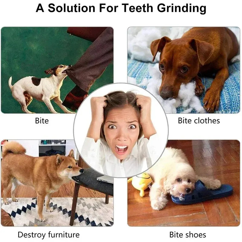 Zooflex TreatBuddy – Interactive Dog Chew Ball