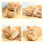 ZooFlex 10cm Sisal Cat Scratching Ball – Interactive Rattle Toy for Kittens