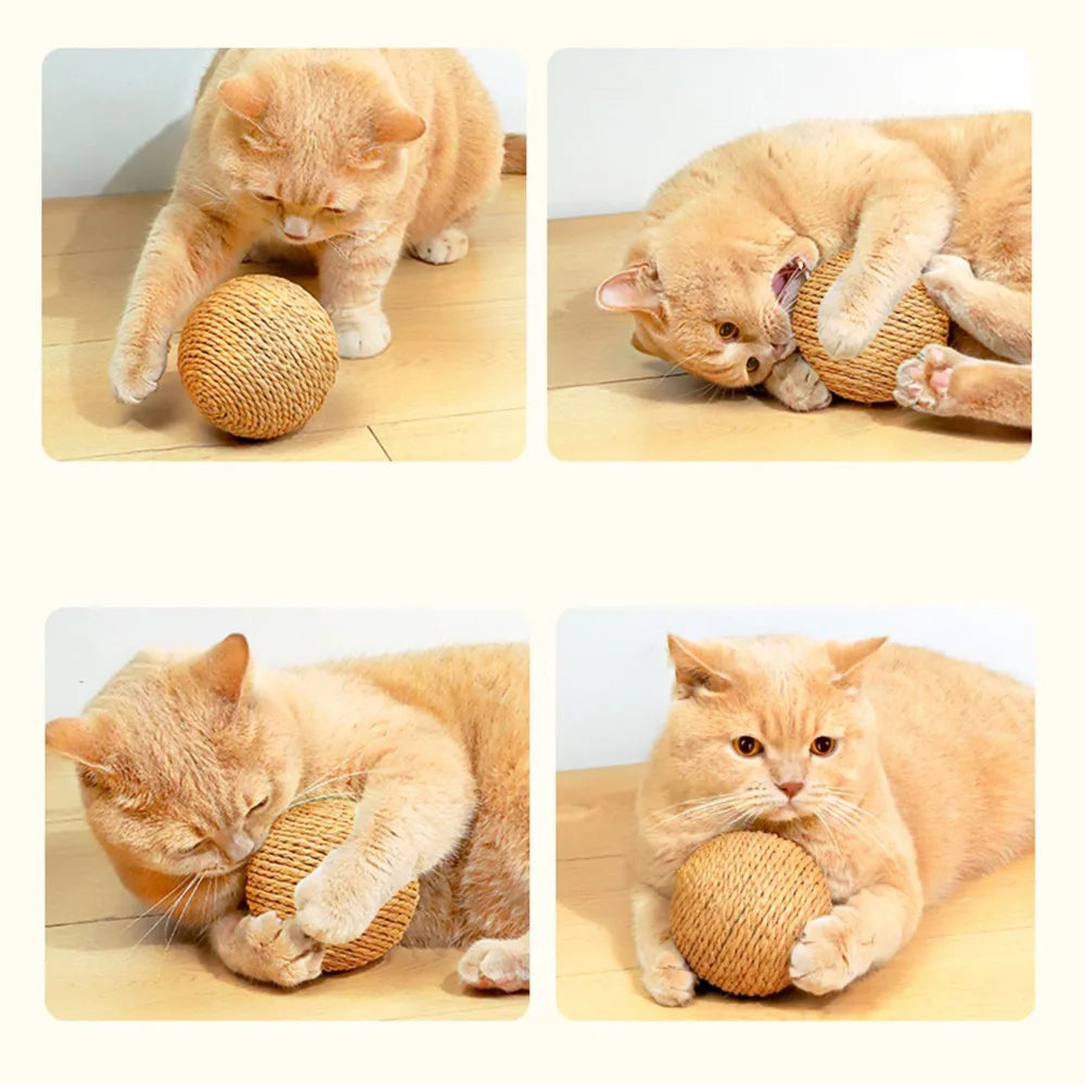 ZooFlex 10cm Sisal Cat Scratching Ball – Interactive Rattle Toy for Kittens