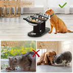Zooflex LuxeDine – 15° Elevated Wooden Cat Bowl