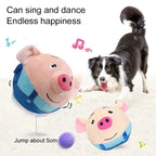 ZooFlex Interactive Vibrating Plush Ball – Musical Cat & Dog Toy
