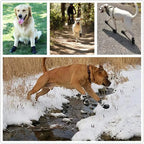 ZooFlex Waterproof Dog Boots – Reflective Anti-Slip Paw Protectors for Summer & Winter (4pcs)