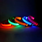 ZooFlex LED Flashing Dog Collar – Adjustable Nylon Safety Collar for Night Walks
