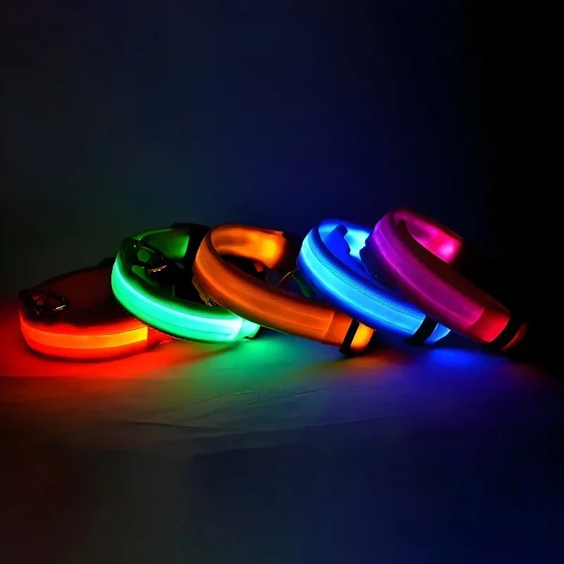 ZooFlex LED Flashing Dog Collar – Adjustable Nylon Safety Collar for Night Walks