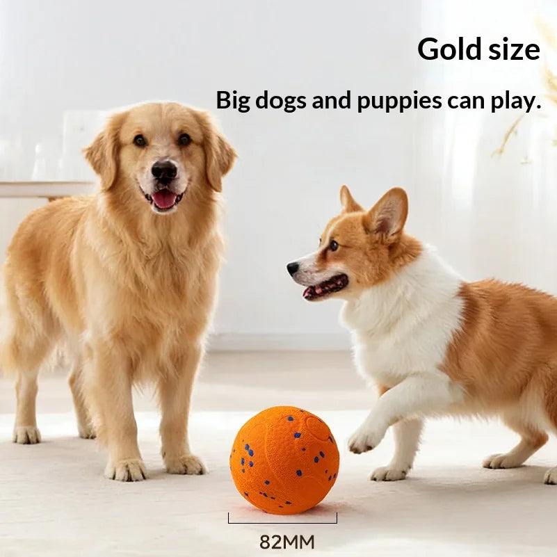 Zooflex PawMotion Smart Interactive Dog Ball