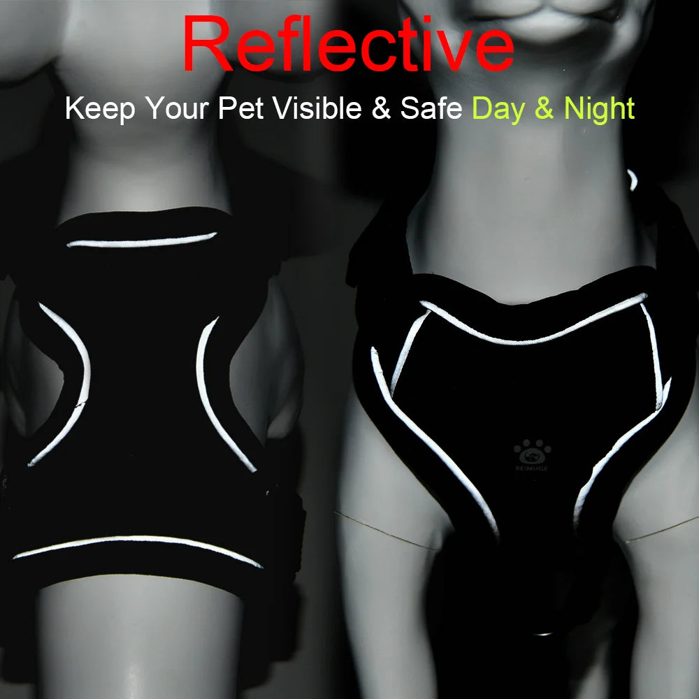 ZooFlex Adjustable Cat Harness & Leash – Reflective Pet Vest