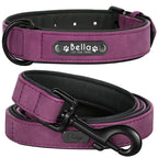 ZooFlex Custom Leather Dog Collar & Leash Set for Small, Medium & Large Dogs