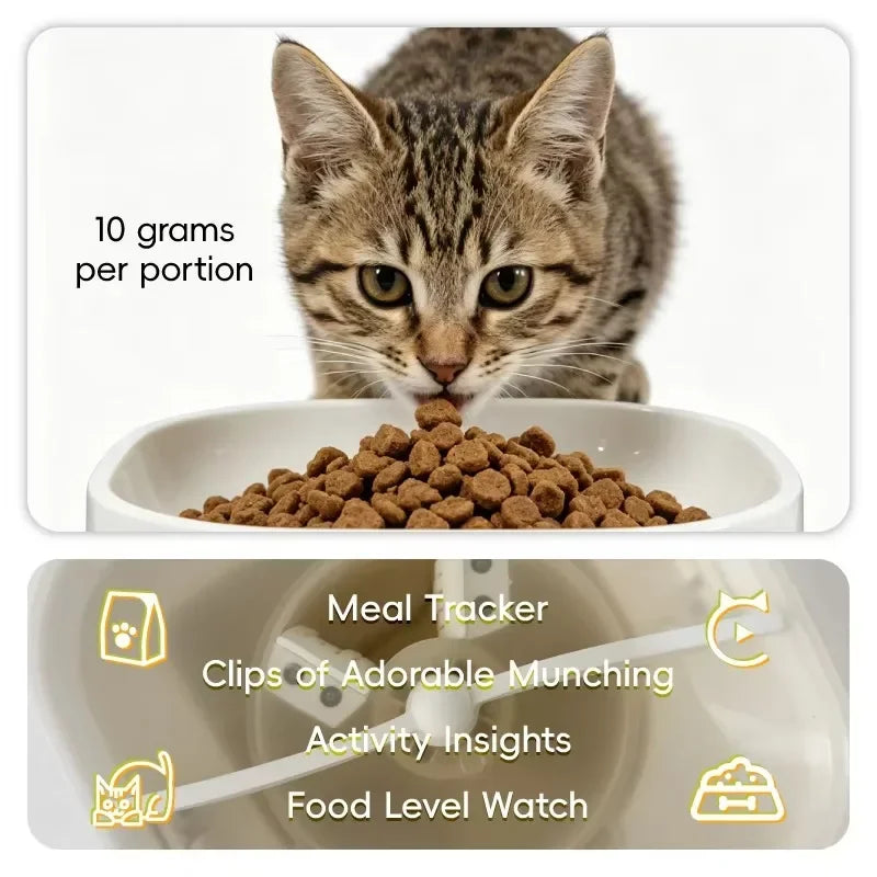 ZooFlex 6L Smart WiFi Pet Feeder – Automatic Dog & Cat Food Dispenser with 1080P Camera