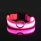 ZooFlex LED Flashing Dog Collar – Adjustable Nylon Safety Collar for Night Walks