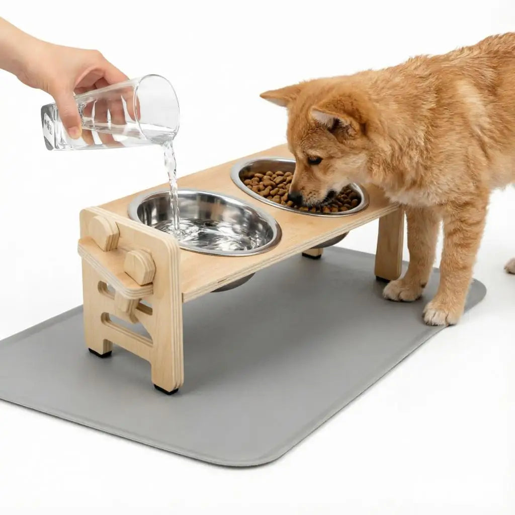 Zooflex TiltDine – 15° Elevated Double Pet Bowl