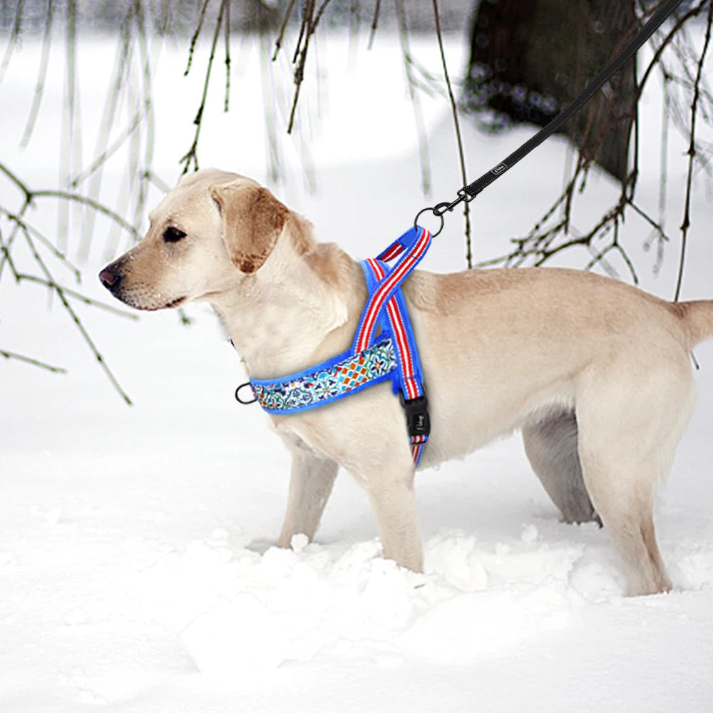ZooFlex Warm Winter Dog Harness – Soft Padded Adjustable Vest for Small & Large Dogs