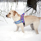 ZooFlex Warm Winter Dog Harness – Soft Padded Adjustable Vest for Small & Large Dogs