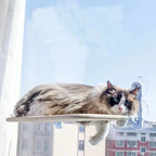 ZooFlex Foldable Cat Window Hammock – Suction Cup Window Perch